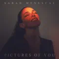 Pictures of You