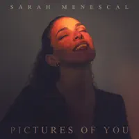 Pictures of You — Sarah Menescal