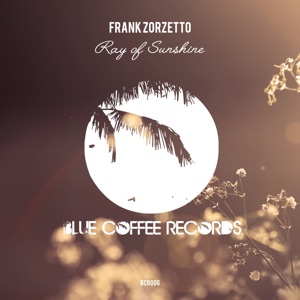 Ray of Sunshine - Single