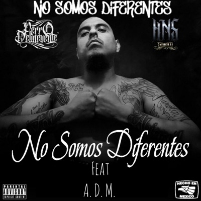 No Somos Diferentes - Single
