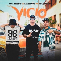 Vicio (feat. Ignacio Ley) - Single - Mr Regino y Magnate