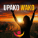 UPAKO WAKO album art
