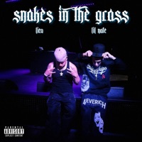 Snakes In The Grass - Single - Dj Lico & Lil Nate