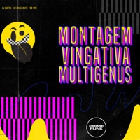 Montagem Vingativa Multigenus (feat. Prime Funk) - Single - DJ GUXTHA, DJ ISR4EL BEATS & MC NINA