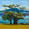 A Deeper Life - Chaos In The CBD