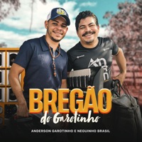 Bregão do Garotinho - Anderson Garotinho & Neguinho Brasil