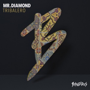 Tribalero - Single