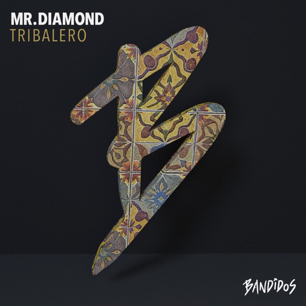 Tribalero - Single