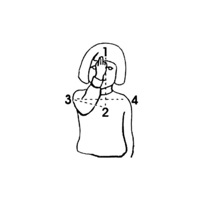 Holdin Back - Single - fauna