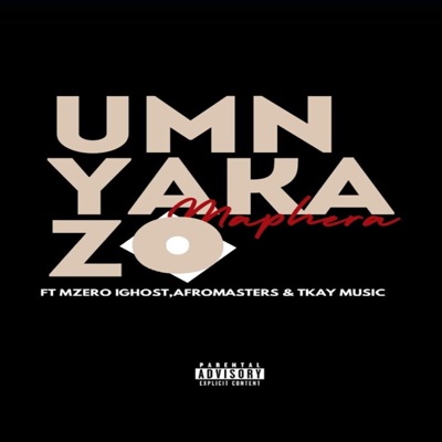 Umnyakazo - Single
