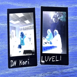 Honestly (feat. LUVELI) DN Kori