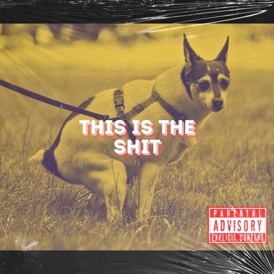 This Is the Shit - Single