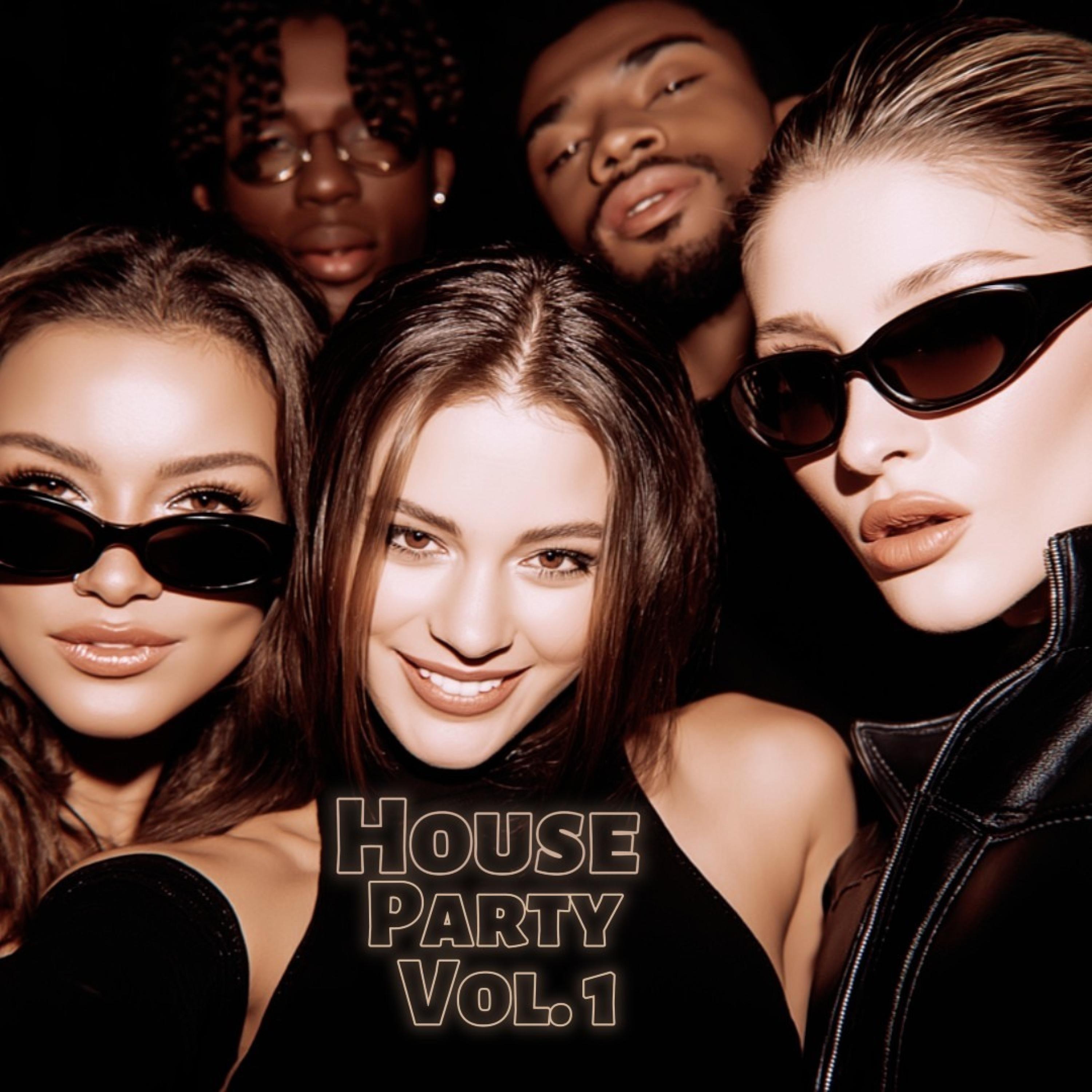 House Party, V*l. 1