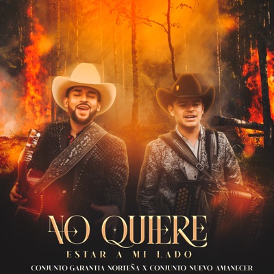 No Quiere Estar a Mi Lado - Single