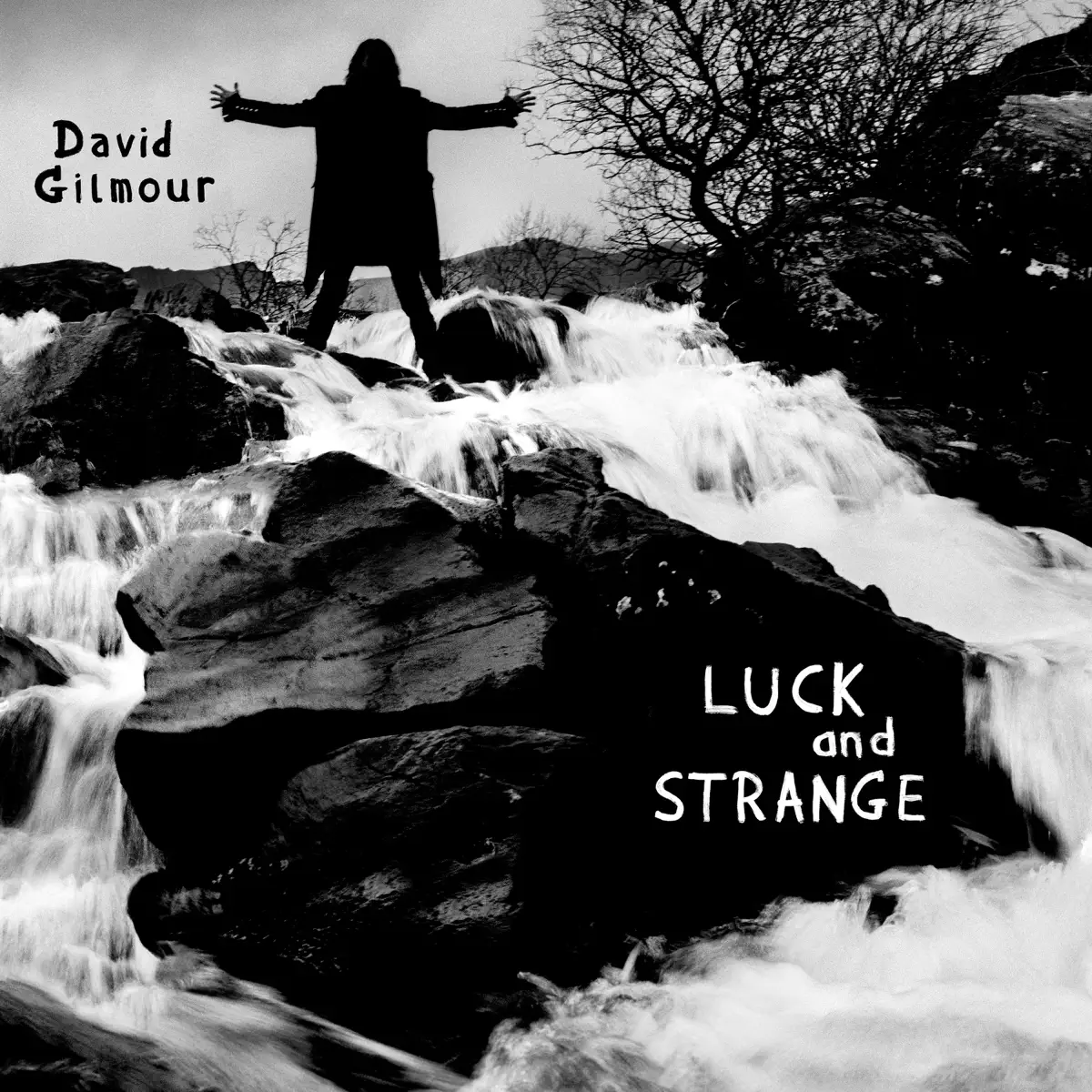 David Gilmour - Luck and Strange (2024) [iTunes Plus AAC M4A]-新房子