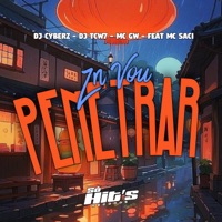 ZN Vou Penetrar (feat. MC Saci) - Single - DJ Cyberz, DJ TCW7 & Mc Gw