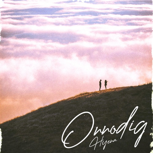 Onnodig - Single