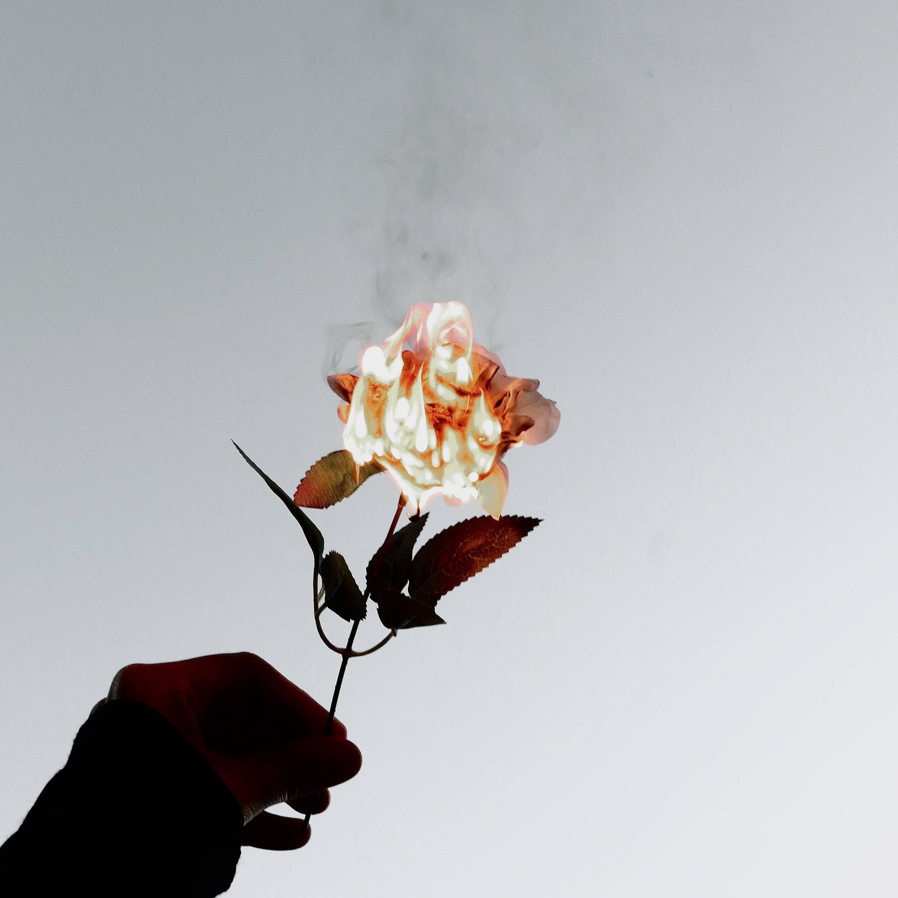 DESTRUCTION - Single