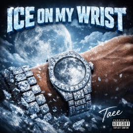 Ice On My Wrist Taee