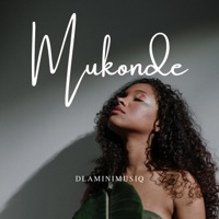 MUKONDE (feat. Shabby dew bwoy) - Single - DlaminiMusiq
