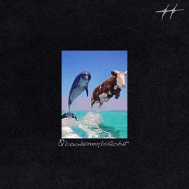 Back On My B******t Runnit