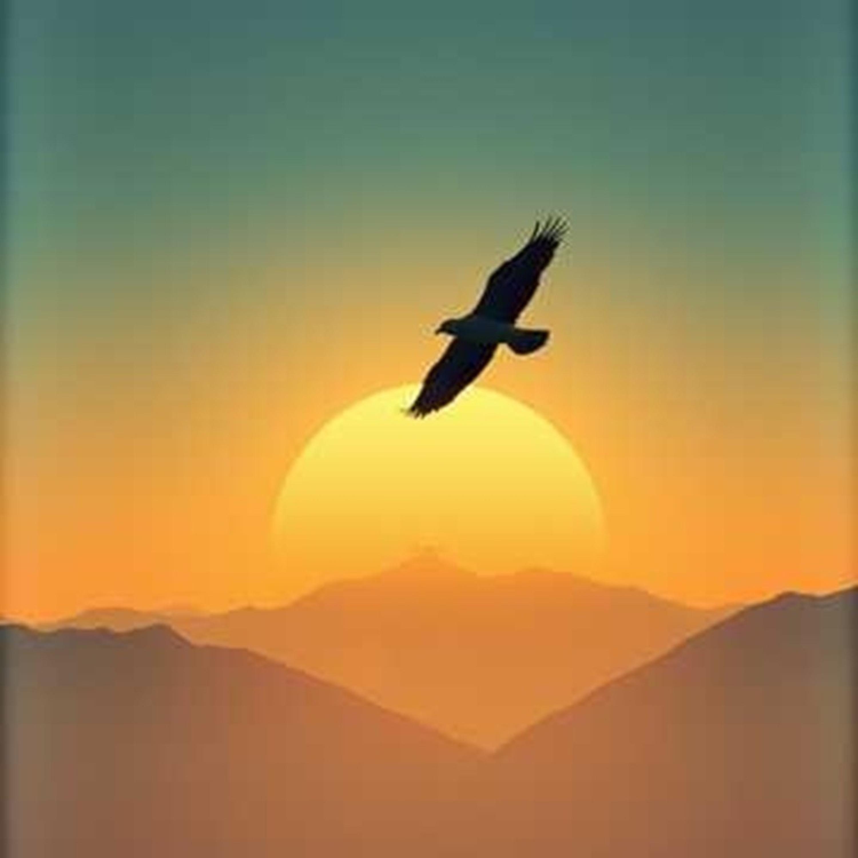 Rise with Me - Single