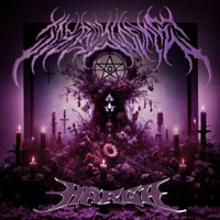 HÅRGA (feat. Rhen) - Single - IceBoy Locke