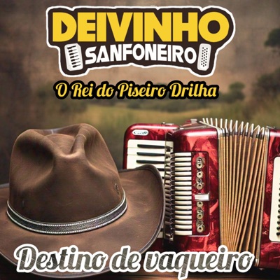 O Rei do Piseiro Drilha Destino de Vaqueiro - Single