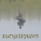 Kompass (feat. Phäno One) - Daniel San lyrics