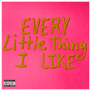 Every Little Thing I Like (feat. Mustard Service) - Single