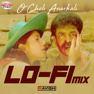 O Cheli Anarkali Lofi Mix (From 