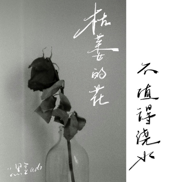 枯萎的花不值得浇水 - Single