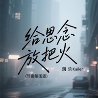 给思念放把火 (节奏氛围版) - Single - 凯乐Kailer