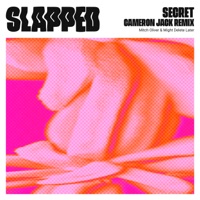 Secret (Cameron Jack Remix) - Single - Mitch Oliver, Might Delete Later & Cameron Jack