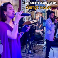 Kürtçe Halay (feat. Gülcan Günay) - Single - Yavuz Çelik