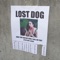 Dog Eat Dog (Acoustic) - Blythe Davis lyrics