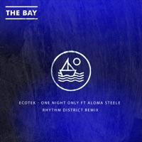 One Night Only (feat. Aloma Steele) [Rhythm District Remix] - Single - Ecotek
