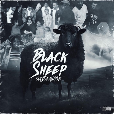Black Sheep