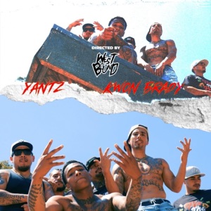 We In It (feat. Kwon Brady & Yantz) - Single