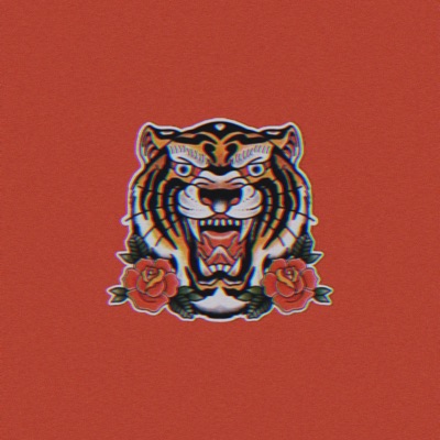 Christian Audigier - Single
