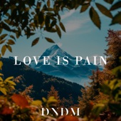 Love Is Pain artwork