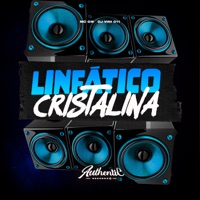 Linfático Cristalina (feat. MC GW) - Single - DJ VINI 011