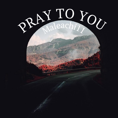 Pray to You - Single