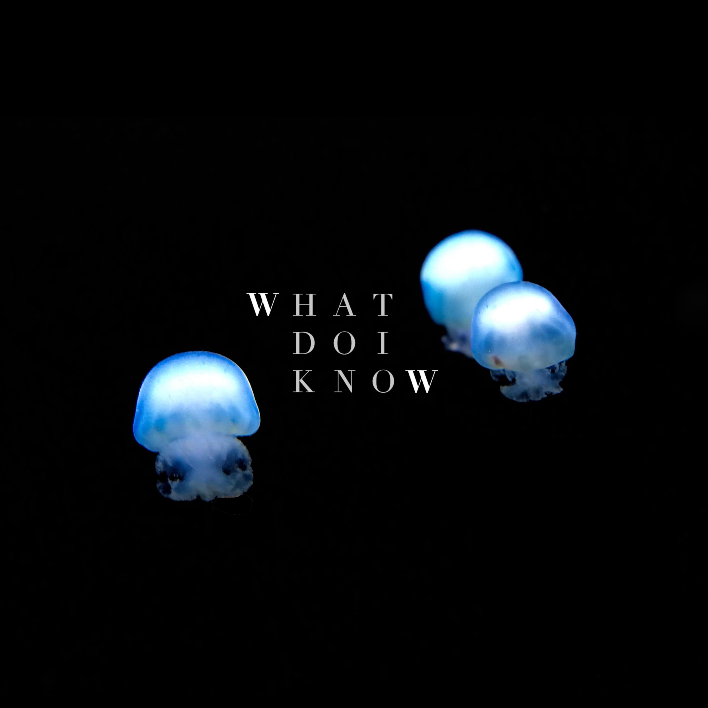 What Do I Know - Single
