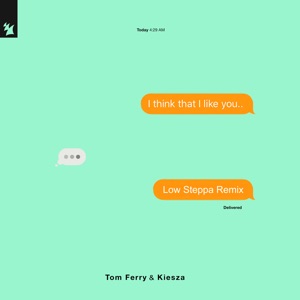 I Think That I Like You (Low Steppa Remix) - Single