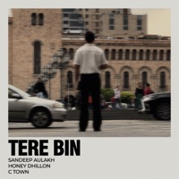 Tere Bin (feat. Honey Dhillon) - Single - Sandeep Aulakh