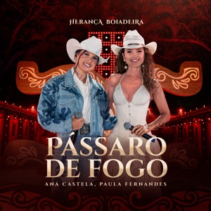 Pássaro de Fogo (Ao Vivo) - Single