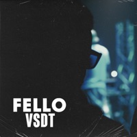 V.S.D.T - Single - Fello