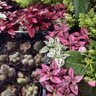 Ahí hay dos (feat. tenshi, 333synx & waera) - Single