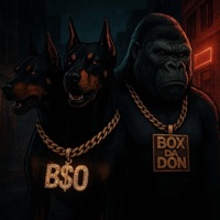 Lose It All (feat. Box Da Don) - Single - Bluestripzosea
